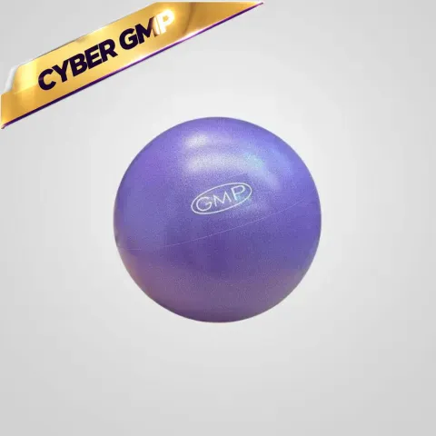 Pelota 24 cm fitness - VIOLETA