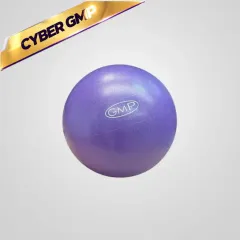 Pelota 24 cm fitness - VIOLETA