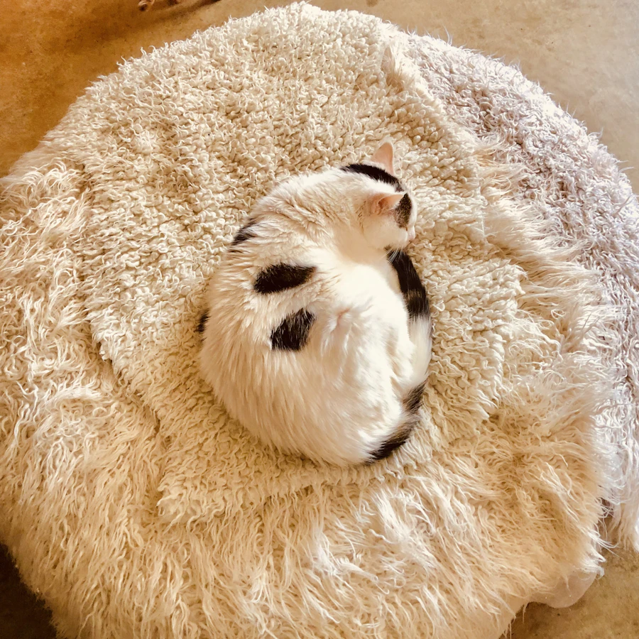 Cama redonda de peluche