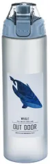 BOTELLA 600 ML MODX 209 - XAEA - KIT X 60