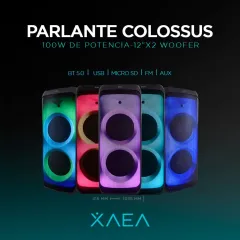 PARLANTE TORRE 12'' X2 - MOD212 - COLOSSUS - XAEA - foto 3