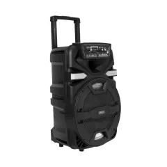 PARLANTE 12'' - MOD FS-1204 - YEXA HAWAI - foto 2
