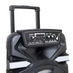 PARLANTE 12'' - MOD FS-1204 - YEXA HAWAI - foto 3