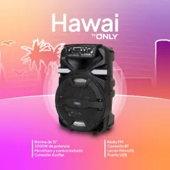 PARLANTE 12'' - MOD FS-1204 - YEXA HAWAI - foto 4